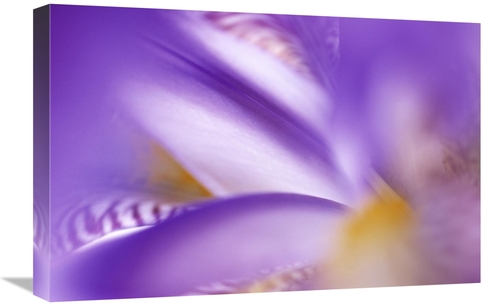 Global Gallery GCS-398258-1624-142 16 x 24 in. Iris Abstract Close Up 