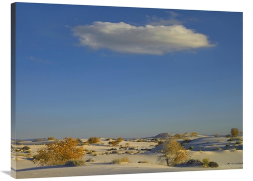 Global Gallery GCS-396813-3040-142 30 x 40 in. Cloud Over White Sands 