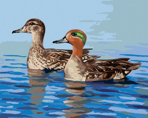 Zuty - Paint by Numbers - DUCKS IN THE WATER (D. RUSTY RUST), 40x50 cm