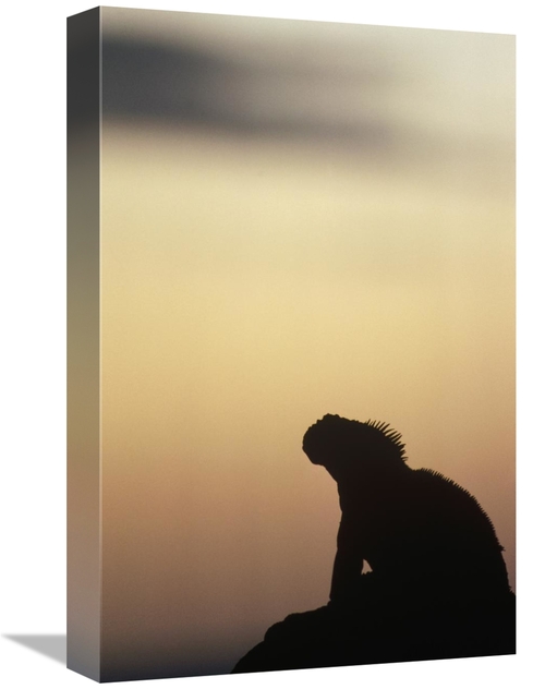 Global Gallery GCS-451318-1218-142 12 x 18 in. Marine Iguana Silhouett