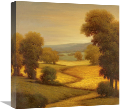 Global Gallery GCS-130146-1818-142 18 x 18 in. Amber Outlook I Art Pri