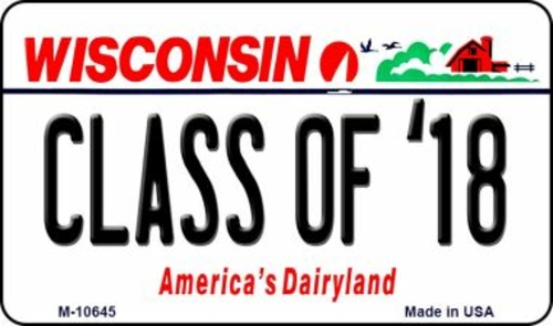 Smart Blonde M-10643 3.5 x 2 in. Golfer Wisconsin State License Plate 