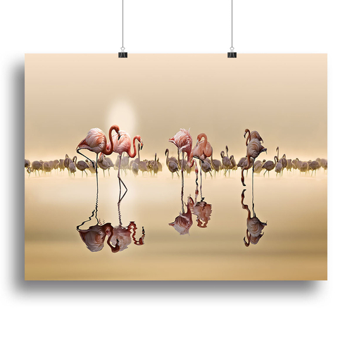 Flamingos In The Sun Canvas Print or Poster