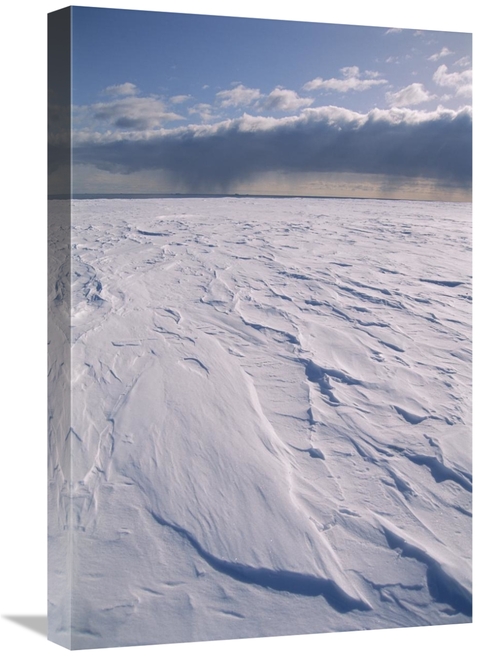 Global Gallery GCS-451548-1624-142 16 x 24 in. Ross Ice Shelf, Ros