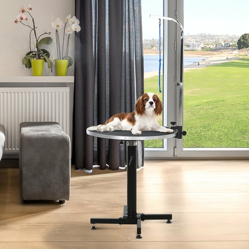 PawHut Foldable Pet Dog Grooming Table with Adjustable Arm and