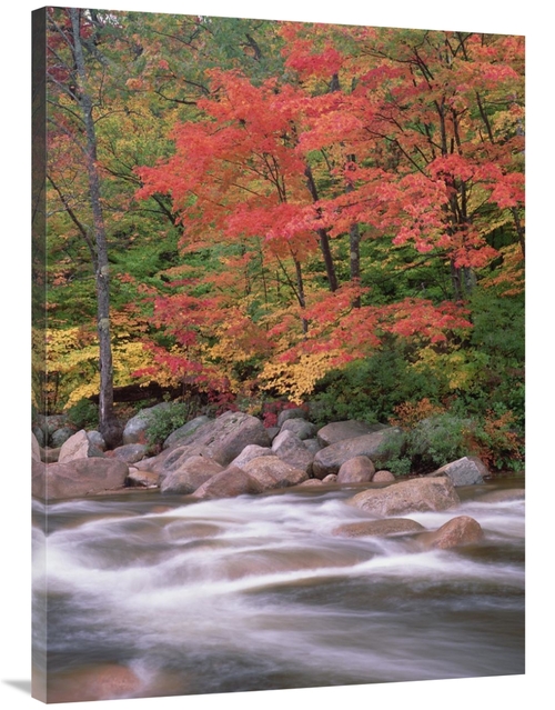 Global Gallery GCS-396840-3040-142 30 x 40 in. Autumn Along Swift Rive