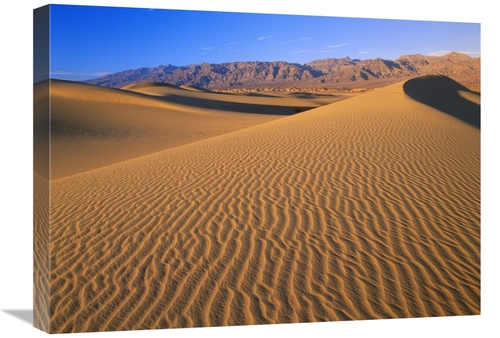 Global Gallery GCS-396647-1824-142 18 x 24 in. Mesquite Flat Sand Dune