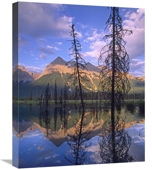 Global Gallery GCS-452152-2024-142 20 x 24 in. Chancellor Peak Reflect