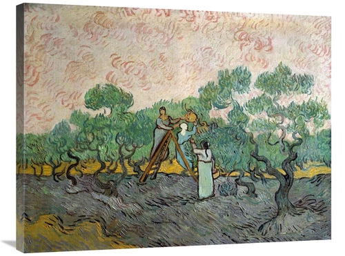 Global Gallery GCS-281329-36-142 36 in. Women Picking Olives Art Print