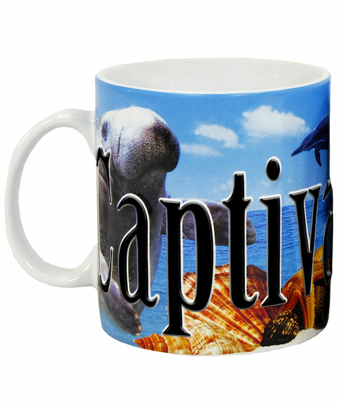 Americaware SMCPI01 Captiva Island Full Color Relief Mug  18 oz