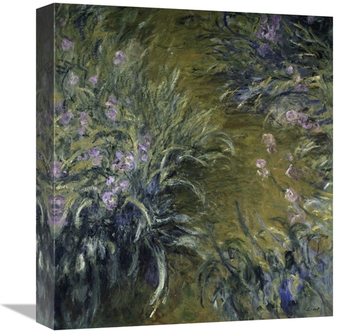 Global Gallery GCS-278716-16-142 16 in. The Path Through the Irises Ar