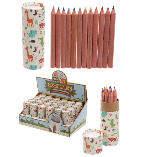 Fun Kids Colouring Pencil Tube - Zoo Design