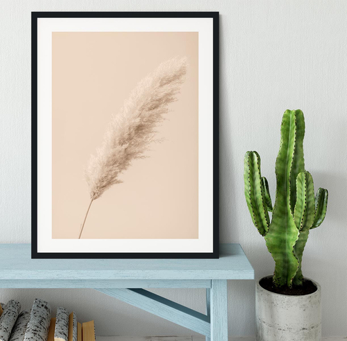 Pampas Grass Begie 14 Framed Print