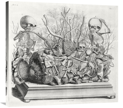 Global Gallery GCS-454964-36-142 36 in. Diorama of Fetal Skeletons Arr