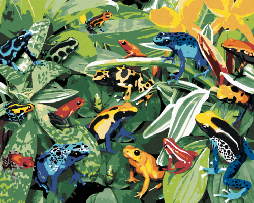 Paint by Numbers - COLOURFUL FROGS (HOWARD ROBINSON)