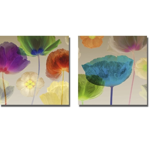Artistic Home Gallery 1212Q963EG Poppy Panorama I & II by Robert Merte