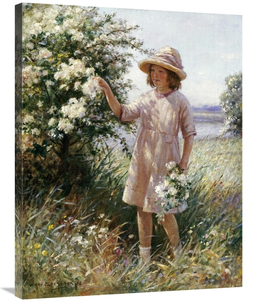 Global Gallery GCS-267745-36-142 36 in. Picking May Blossom Art Print 