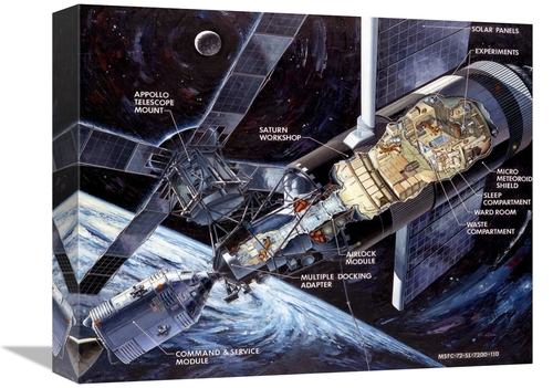 Global Gallery GCS-393584-1216-142 12 x 16 in. Skylab - Cutaway Illust