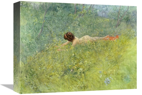 Global Gallery GCS-282341-16-142 16 in. On the Grass Art Print - Carl 