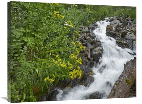 Global Gallery GCS-395985-2432-142 24 x 32 in. Creek Near Silverton&#4