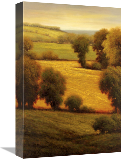 Global Gallery GCS-130148-1218-142 12 x 18 in. Ambre Valley Art Print 