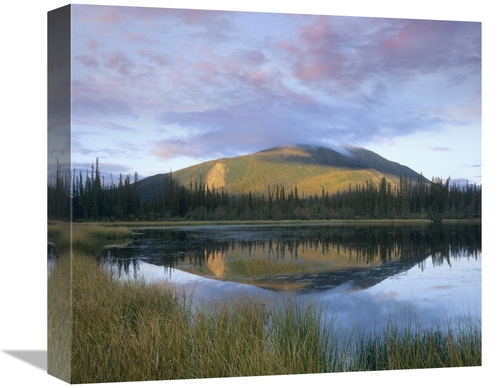 Global Gallery GCS-396197-16-142 16 in. Pond Reflecting Nisling Range&