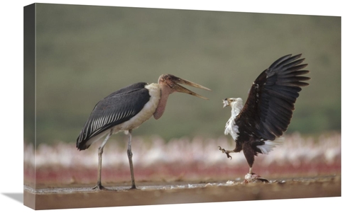 Global Gallery GCS-396434-1624-142 16 x 24 in. African Fish Eagle Quar