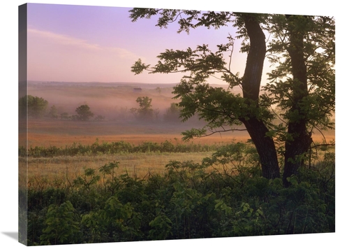 Global Gallery GCS-396175-2432-142 24 x 32 in. Tallgrass Prairie Natio