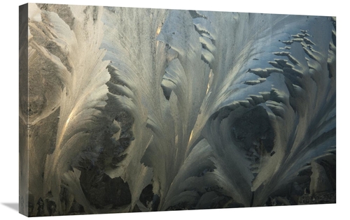 Global Gallery GCS-397756-2030-142 20 x 30 in. Frost Crystal Patterns 