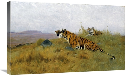 Global Gallery GCS-266702-30-142 30 in. Tigers Stalking Their Prey Art
