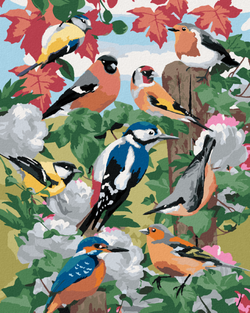 Paint by Numbers - BIRDS AND WHITE FLOWERS (HOWARD ROBINSON)