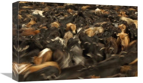 Global Gallery GCS-453133-1218-142 12 x 18 in. Cattle Herded by Chagra
