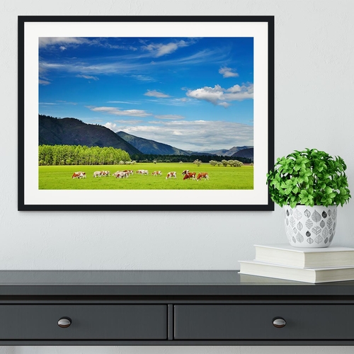 Mountain landscape with grazing cows and sky Framed Print