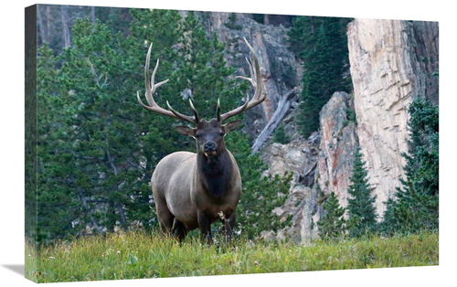 Global Gallery GCS-486462-30-142 30 in. Early Riser Art Print - Vic Sc