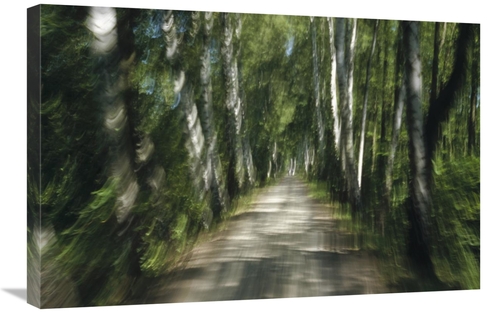 Global Gallery GCS-398483-2030-142 20 x 30 in. Tree Lined Road, Ab