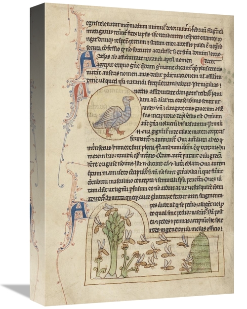 Global Gallery GCS-454771-1218-142 12 x 18 in. A Duck - Bees Art Print