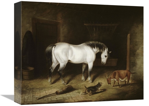 Global Gallery GCS-277961-16-142 16 in. White Horse Art Print - John F