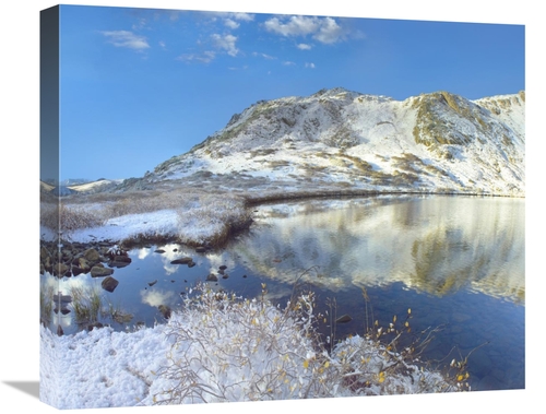 Global Gallery GCS-396320-22-142 22 in. Pond & Geissler Mountain, 