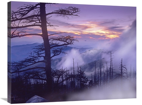 Global Gallery GCS-396954-2432-142 24 x 32 in. Rolling Fog on Clingman