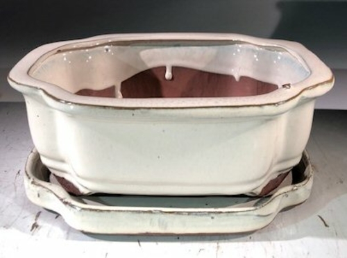 Beige Ceramic Bonsai Pot - RectangleWith Humidity Drip Tray8" x 6" x