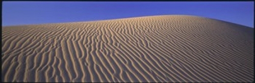 Panoramic Images PPI29342L Sand Dunes Death Valley National Park CA US