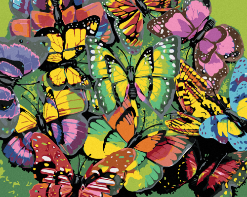 Paint by Numbers - SWARM OF COLOURFUL BUTTERFLIES