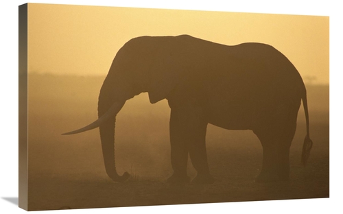 Global Gallery GCS-452749-2030-142 20 x 30 in. African Elephant Silhou