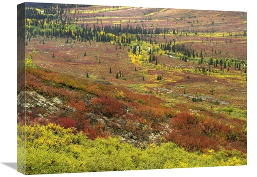 Global Gallery GCS-397060-1824-142 18 x 24 in. Autumn Tundra with Bore