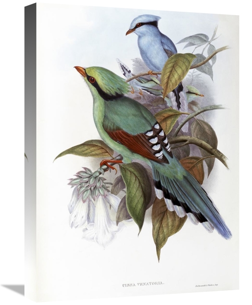 Global Gallery GCS-277767-22-142 22 in. Hunting Cissa Art Print - John