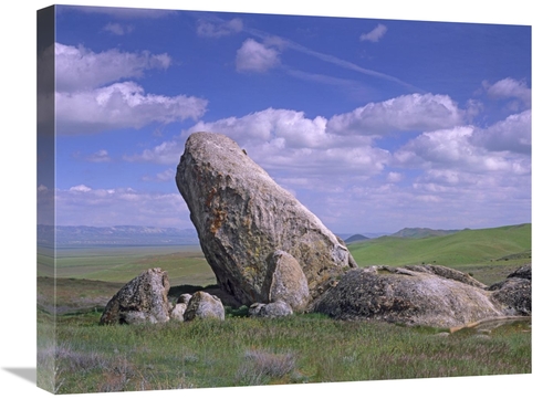 Global Gallery GCS-396397-1824-142 18 x 24 in. Boulders, Carrizo P