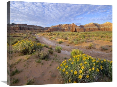 Global Gallery GCS-397086-2228-142 22 x 28 in. Wildflowers Growing Alo