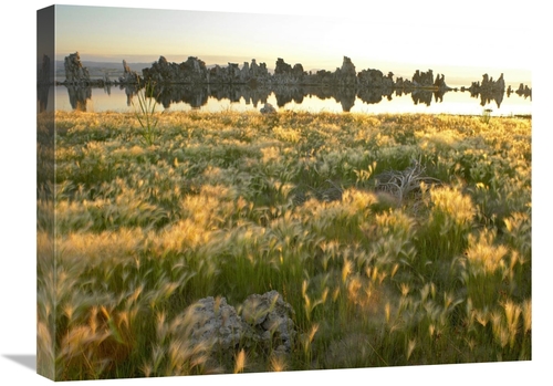 Global Gallery GCS-396961-1824-142 18 x 24 in. Squirreltail Barley & T