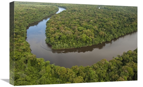 Global Gallery GCS-397927-1624-142 16 x 24 in. Rainforest & Essequibo 