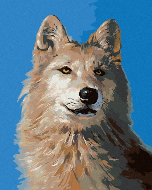 Zuty - Paint by Numbers - WOLF PORTRAIT I (D. RUSTY RUST), 40x50 cm